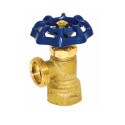 3/4" Boiler Drain