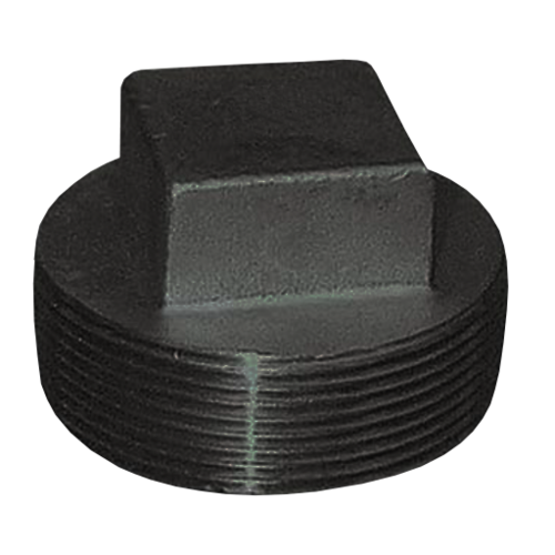 2-1/2" Black Square Head Plug SCH