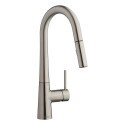 CHICAGO FAUCET 434-ABBN Kitchen Fa