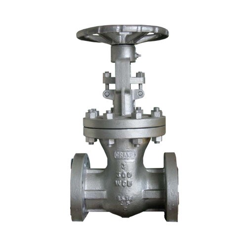 2" Cast Steel Flanged Gate Valve 3