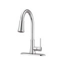 PRICE PFISTER G529PF2C Single Hand