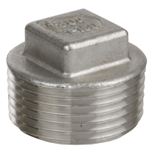 2" Stainless Steel Square Head Plu