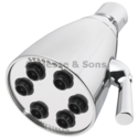 SPEAKMAN S-2252AF 6 Jet 2.5 gpm Sh